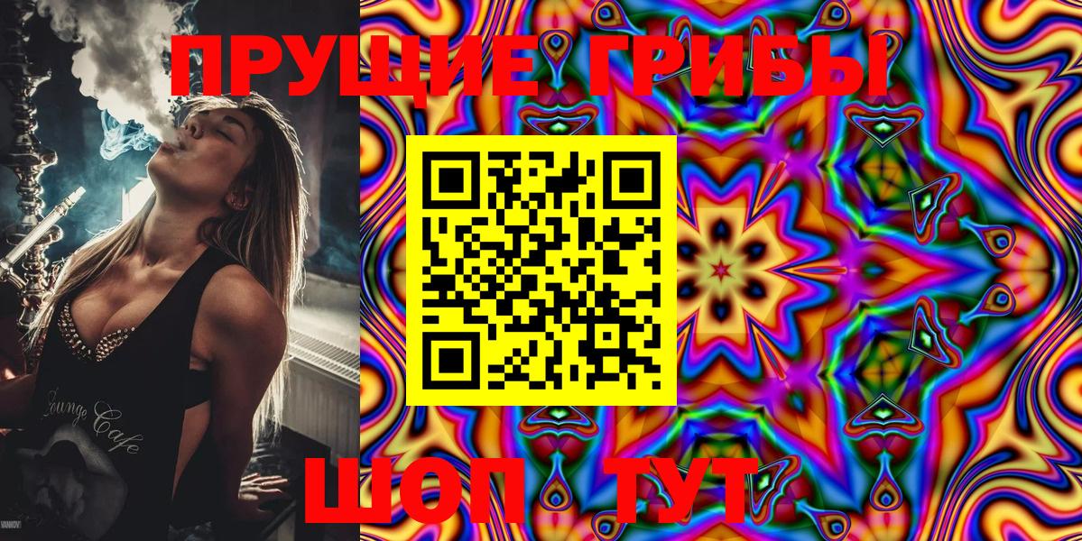 Псилоцибиновые грибы Psilocybe  Вход с VPN  Гусев 