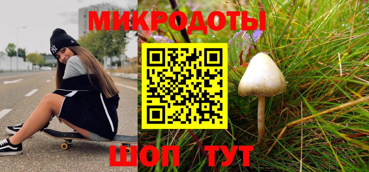 Псилоцибиновые грибы ЛСД Гусев